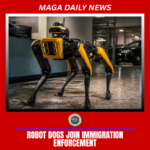 Robot dog standing during a government technology demonstration