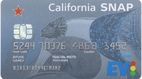 DHS Launches Nationwide Operation Focused on SNAP Food Assistance Fraud